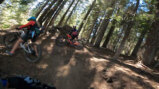 Tamarack Bike Park ~ Mostly Greens Pt 1