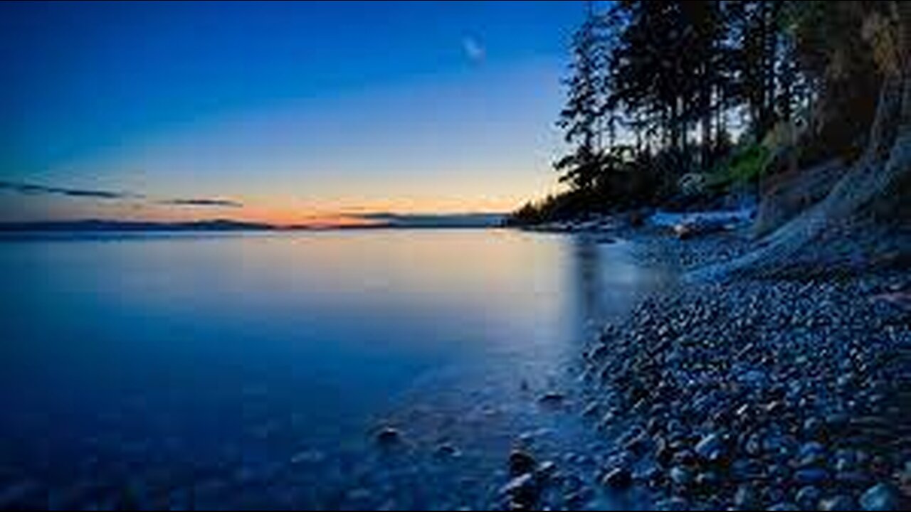 4K Nature Cinematography _ Cinematic Background Music NO COPYRIGHT
