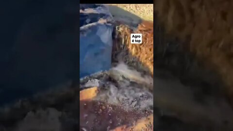 Realmente o agro é tudo mesmo, é tenso viu kkkk #shorts