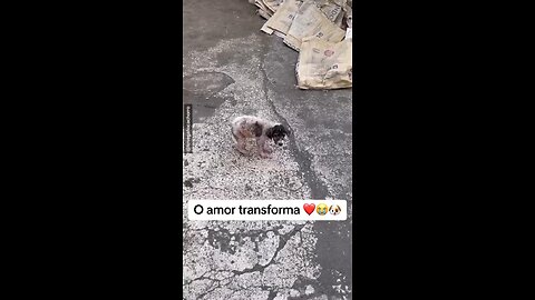 The most beautiful thing you will see today