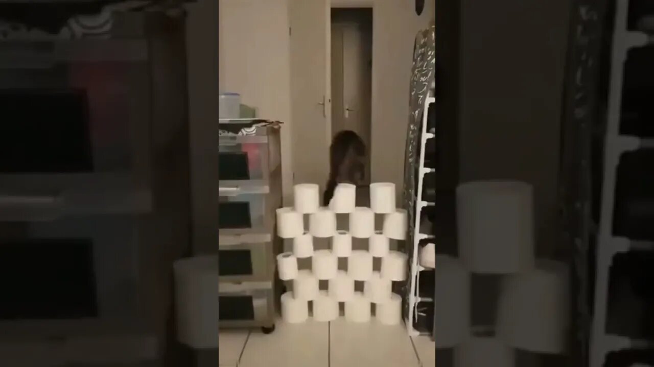 Cat said, enough is enough..🐈🐾😅