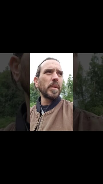 The Kids Are Not Alright