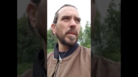 The Kids Are Not Alright