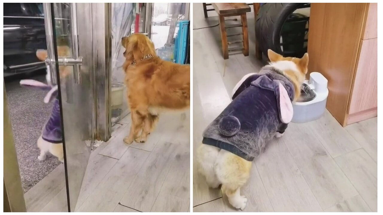 Don't leave, we'll continue now
