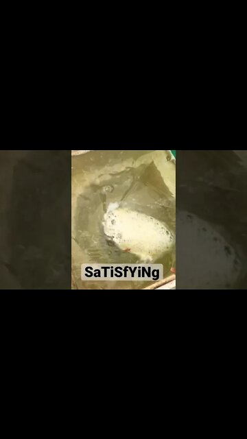 Cleaning Dirty Pool Water *SaTiSfYiNg*