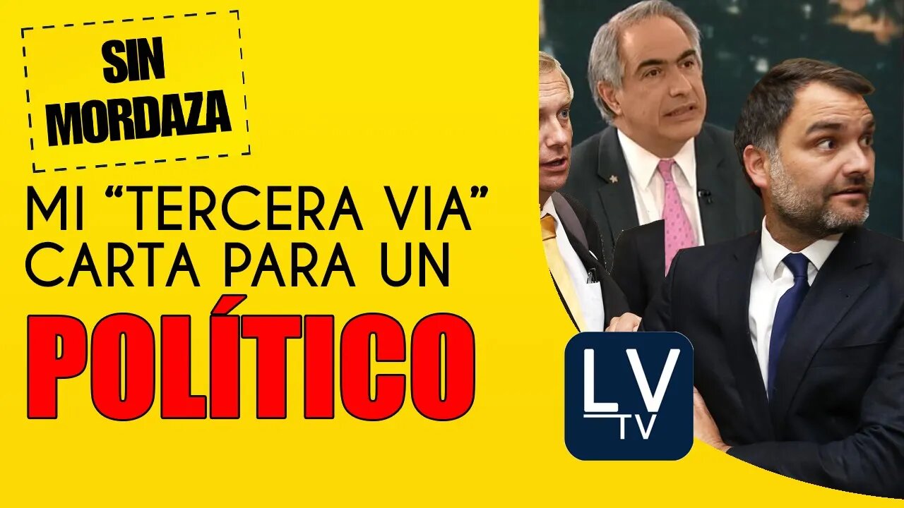 Mi tercera vía, carta para un político