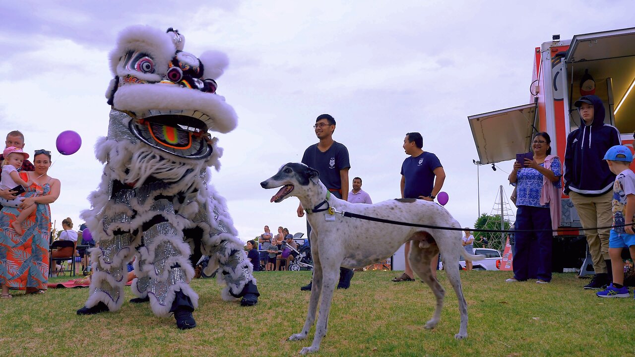 Lion Dance CNY Chinese New Year Midweek Munchies Perth Australia