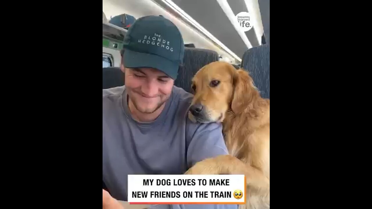 Dog🐶 has a way with making new friends🐕😍