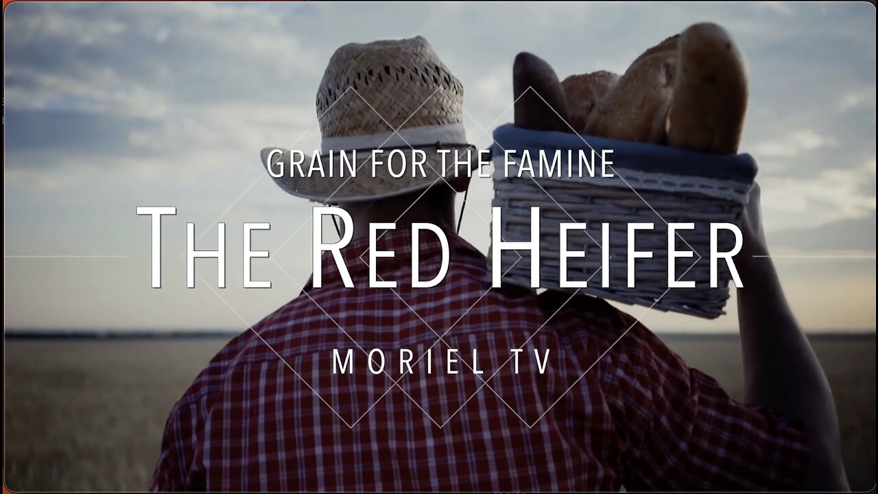 The Red Heifer - Jacob Prasch