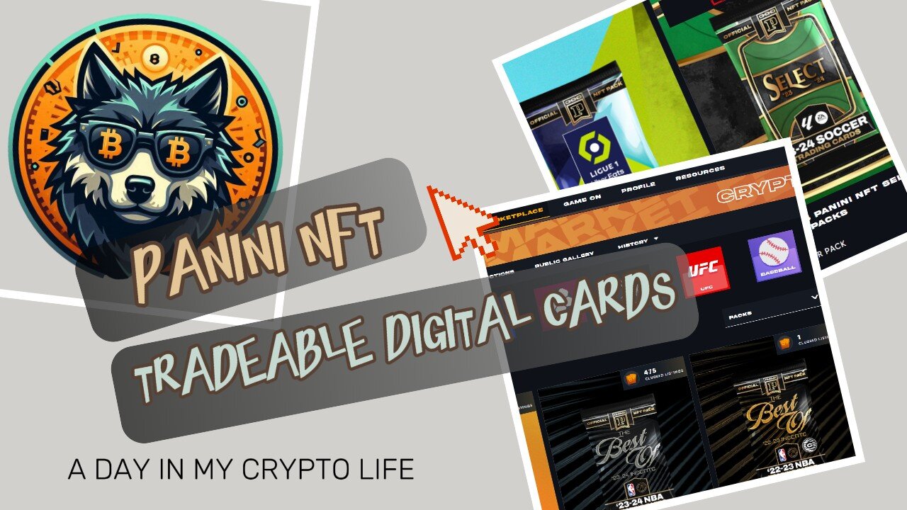 Crypto Gaming Web3 NFT COLLECTOR PANINI