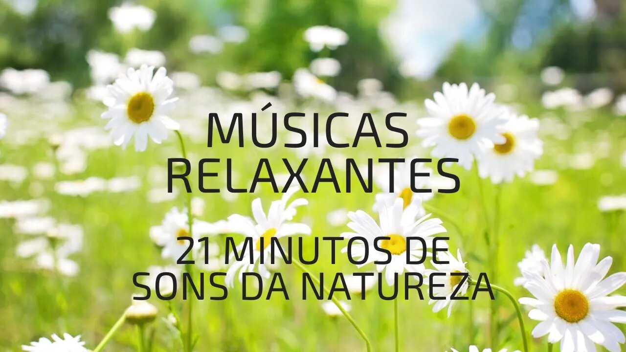 Música Relaxante para dormir