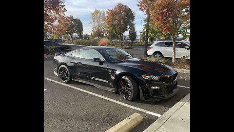 My GT500 vs Hellcat!!