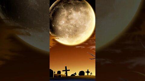 #shortsfullvideos Happy Halloween #shortsfullvideos funny!#shorts