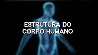 Estrutura do corpo humano