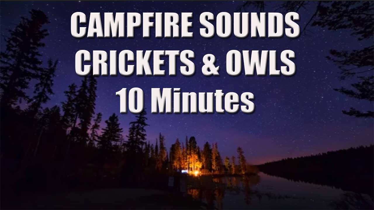 Nightime Campfire Sounds With Crickets & Owls Hooting