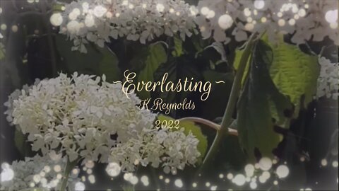 ~Everlasting~ K. Reynolds { Music, Illustrations }