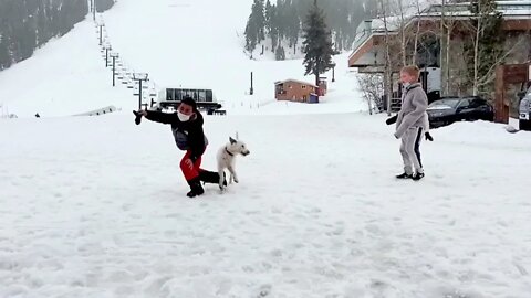 Ares Jack Russell and kids at resort