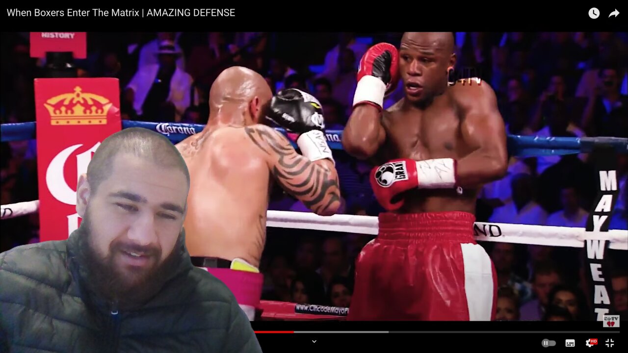 When Boxers Entered The MATRIX | H Reactions