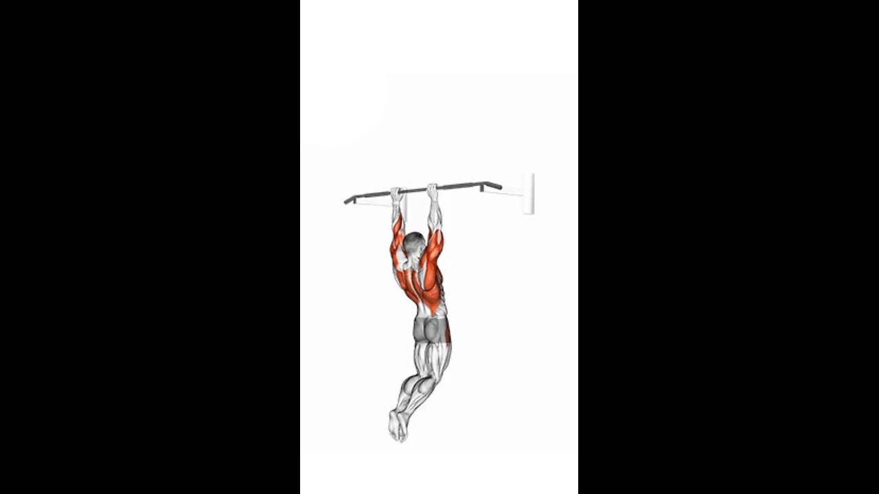 Muscle Up Exercise.