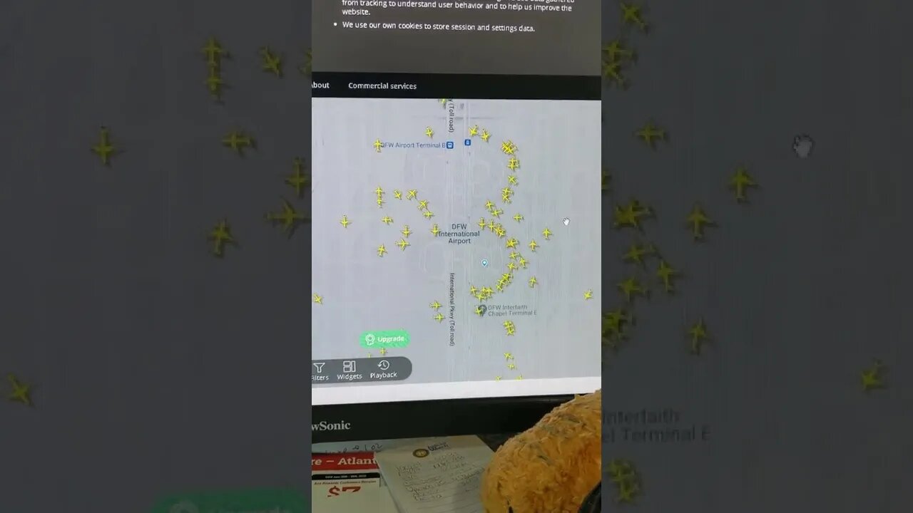 Sophia landed at DFW