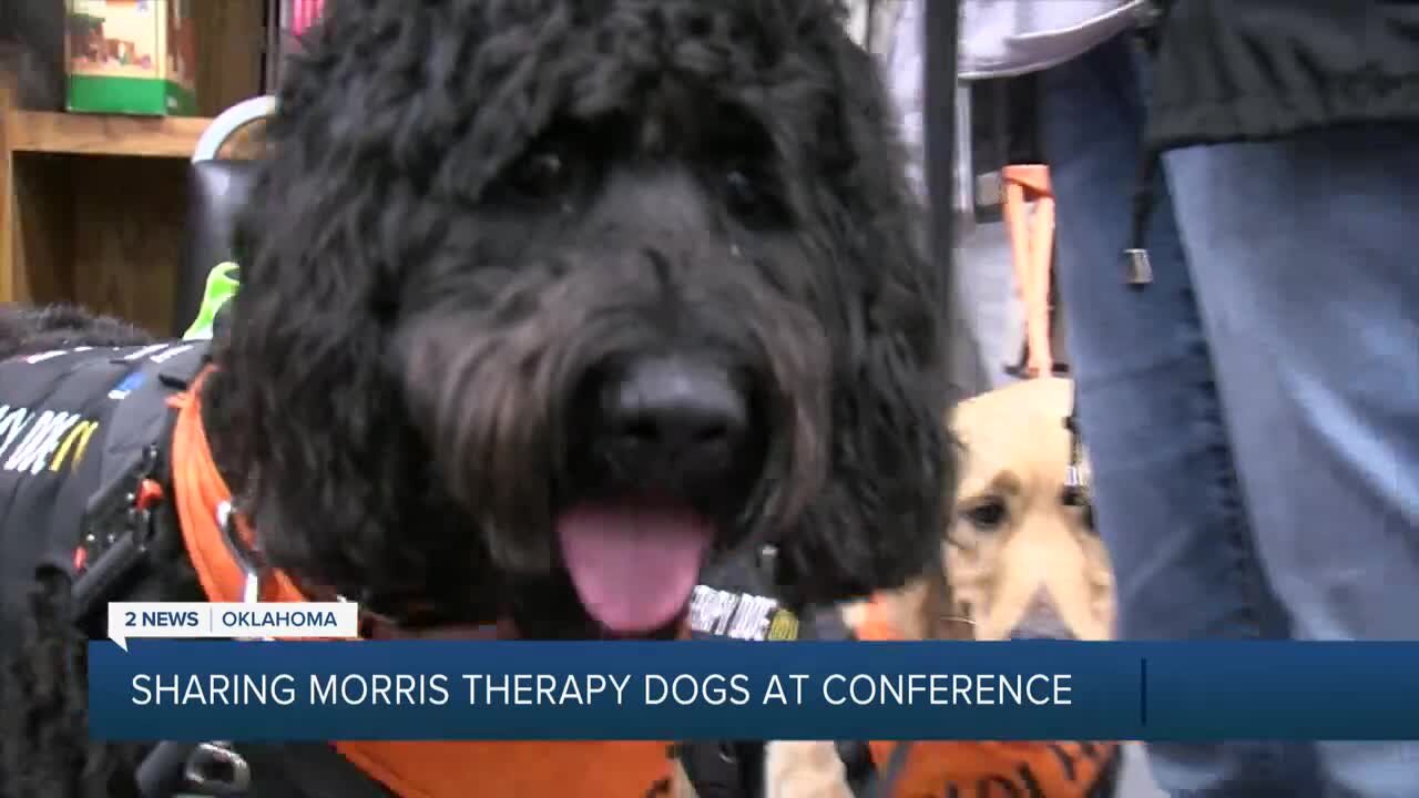 Sharing Morris therapy dogs at conference