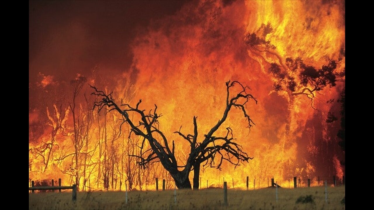 WITNESSES EXPOSE SOMETHING STRANGE DURING THE MAUI FIRES