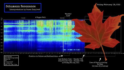 Schumann Resonance No Data! What Are YOU Feeling? Feb 16