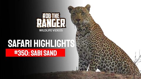 Safari Highlights #350: 07 - 10 July 2015 | Sabi Sand Nature Reserve | Latest Wildlife Sightings