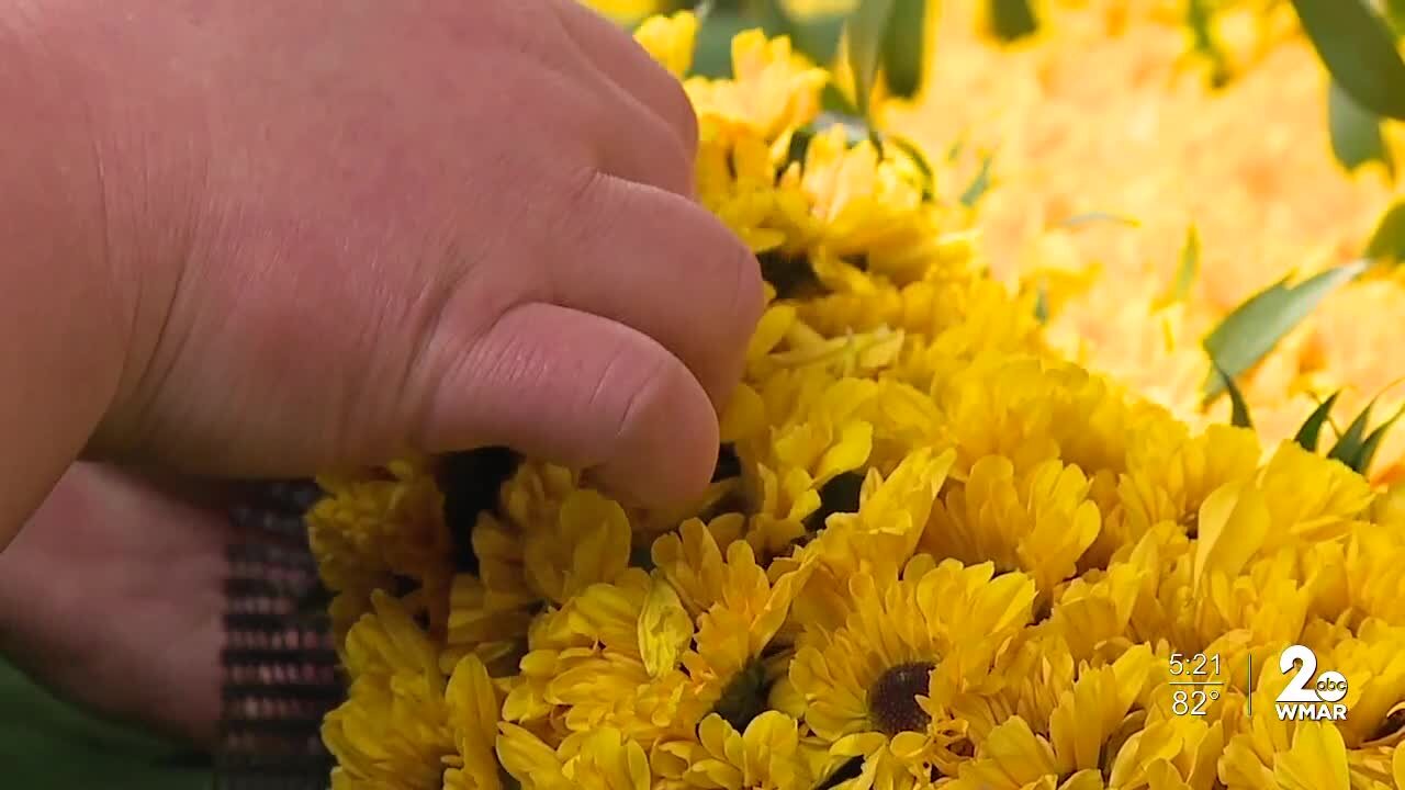 Giant Food florists create floral blankets for Preakness winner