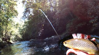 Great Smoky Mountains - New River with Old Friends!