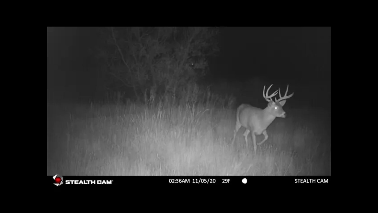 Big 9 Point Buck - 11/5/20 : Creek Spot | Outdoor Jack