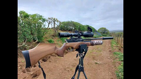 Rabbit shooting with a BSA R10 .22