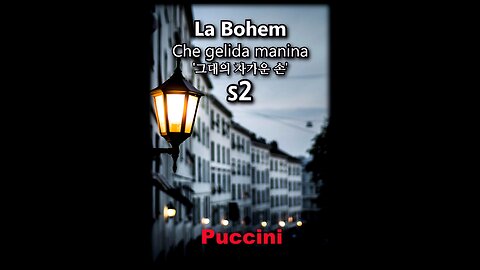 Puccini Opera La Bohem / Che Gelida Manina #2