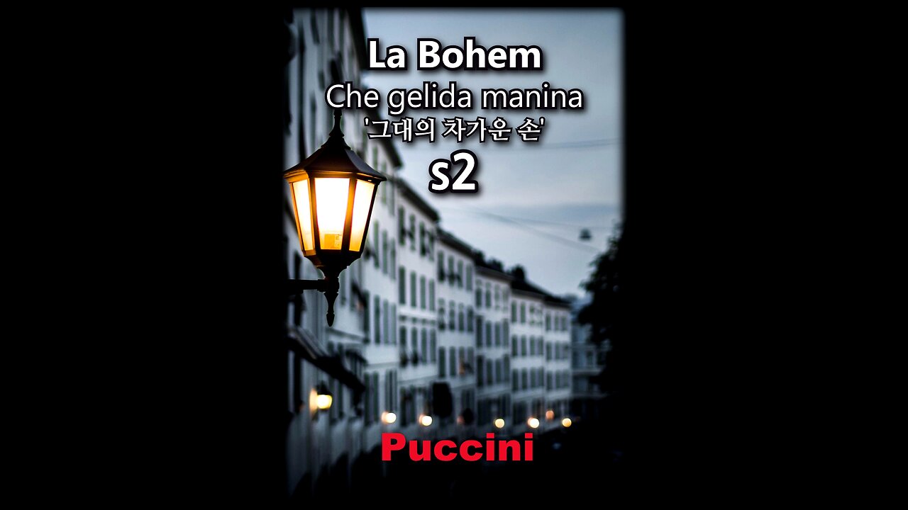 Puccini Opera La Bohem / Che Gelida Manina #2