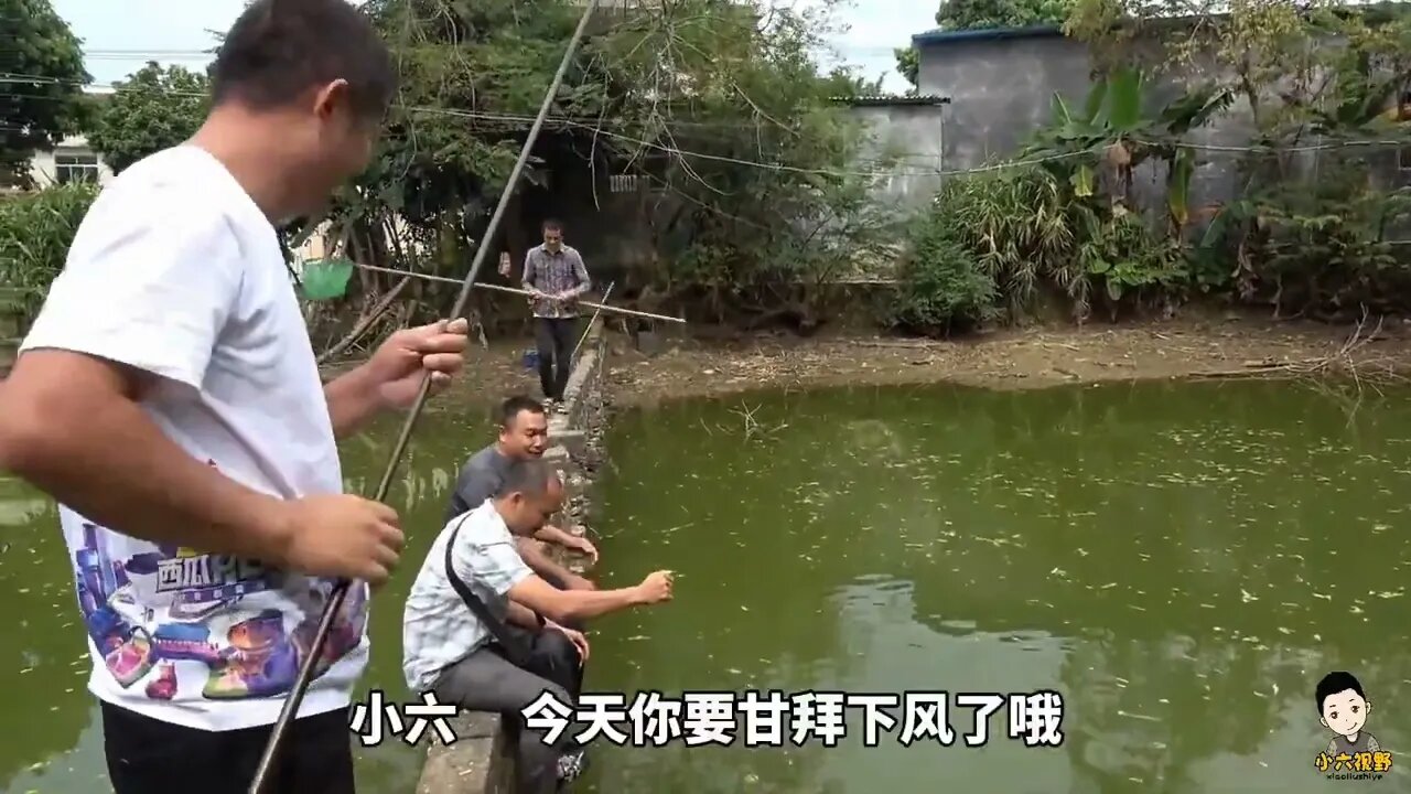 Village head fishing experience to catch, catch the upper pond horn /20