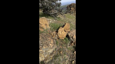 Grey Rock Turns Bronze Due to Metal Exposure