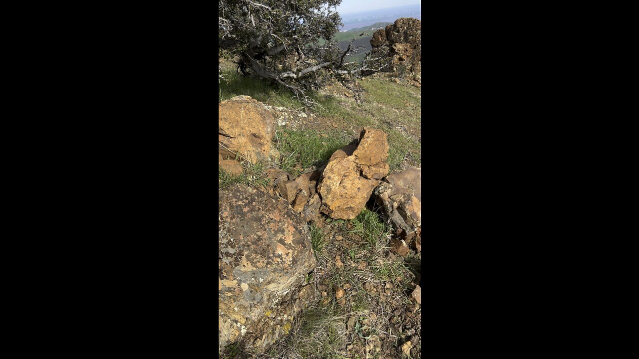 Grey Rock Turns Bronze Due to Metal Exposure