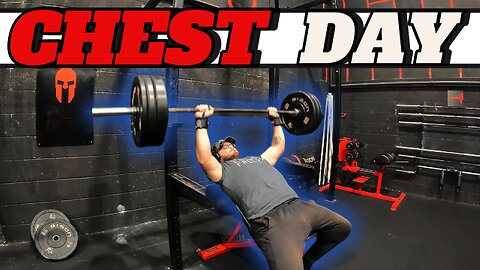 CHEST DAY - Day 16 || An Amazing Workout + CAR TALK IS BACK