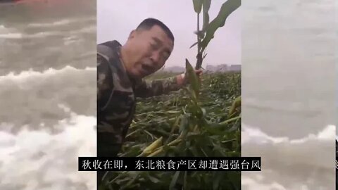 粮荒已经开始，你准备好了吗？