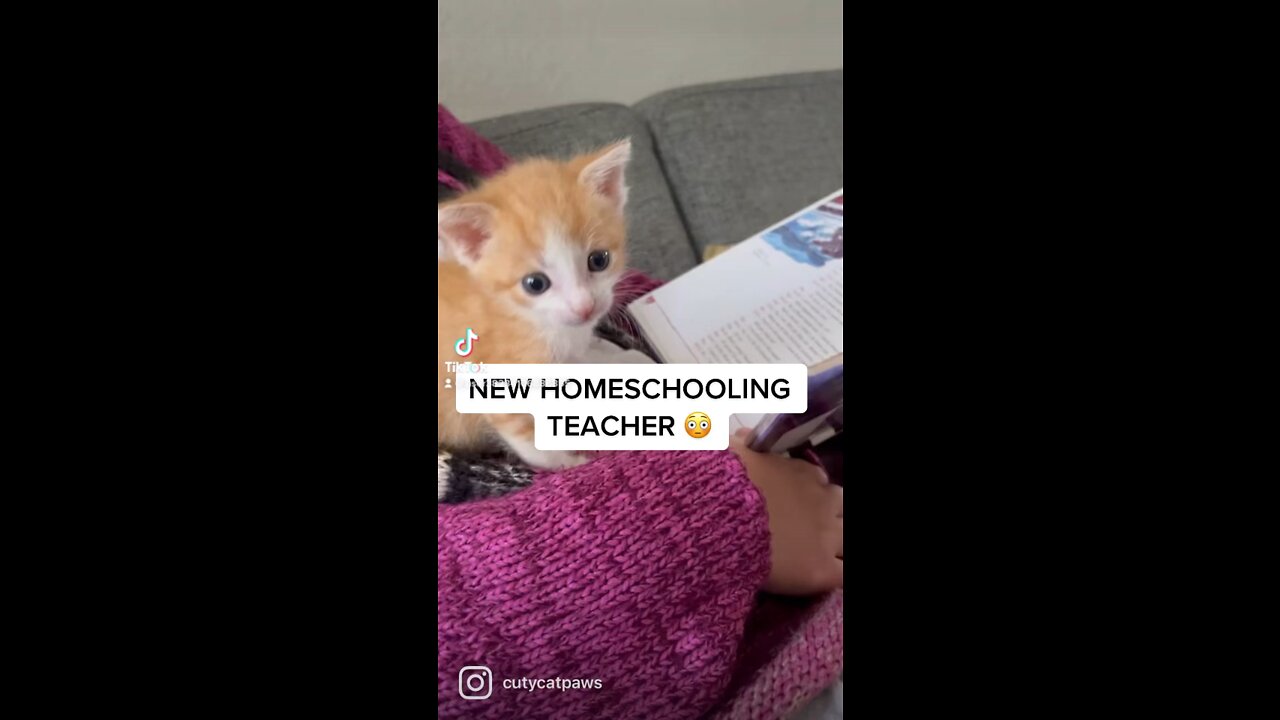 NEW HOMESCHOOLING TEACHER 😳