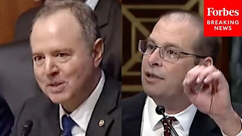 One Of The Biggest Predictive Factors Of Sports Betting Is Educational Status: Witness Tells Schiff