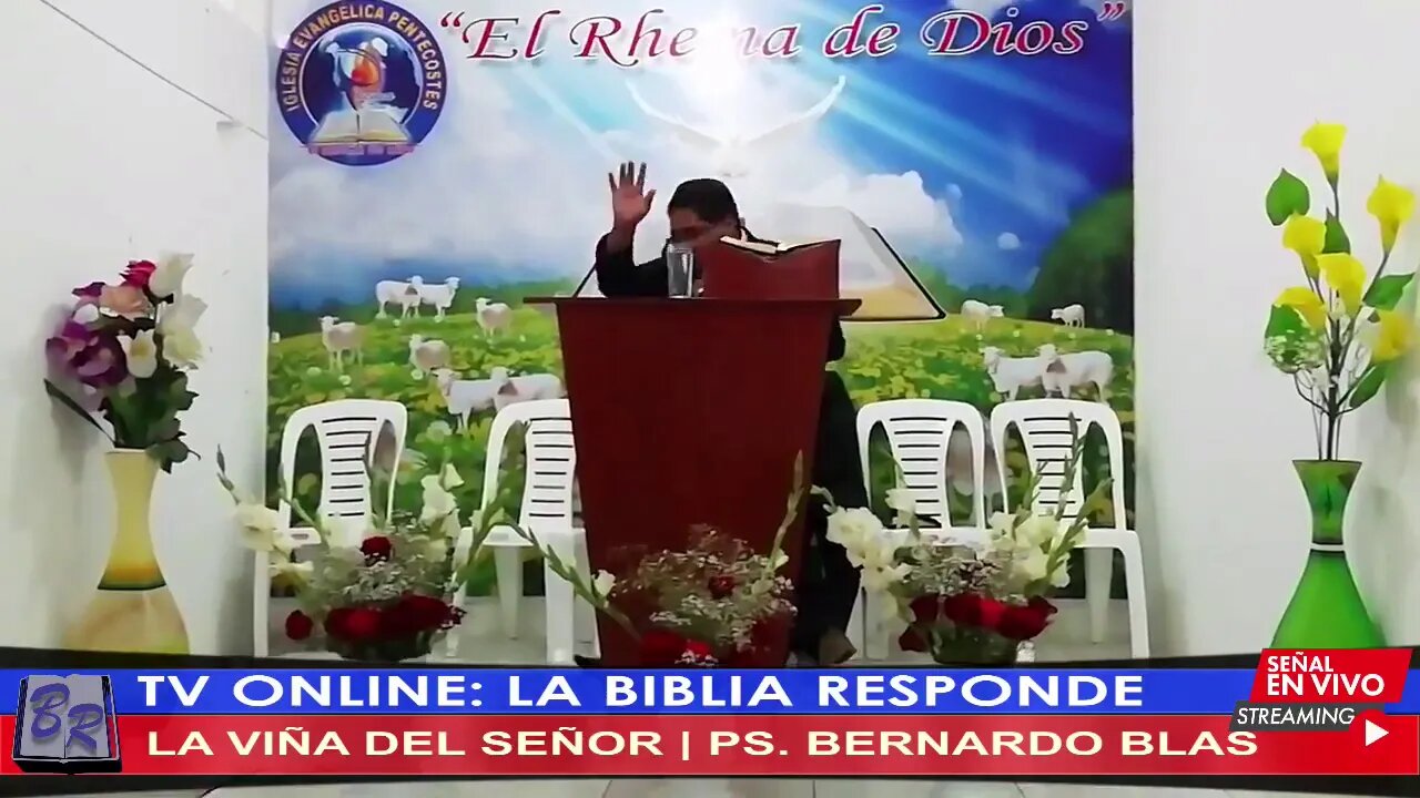 LA VIÑA DEL SEÑOR - PS. BERNARDO BLAS