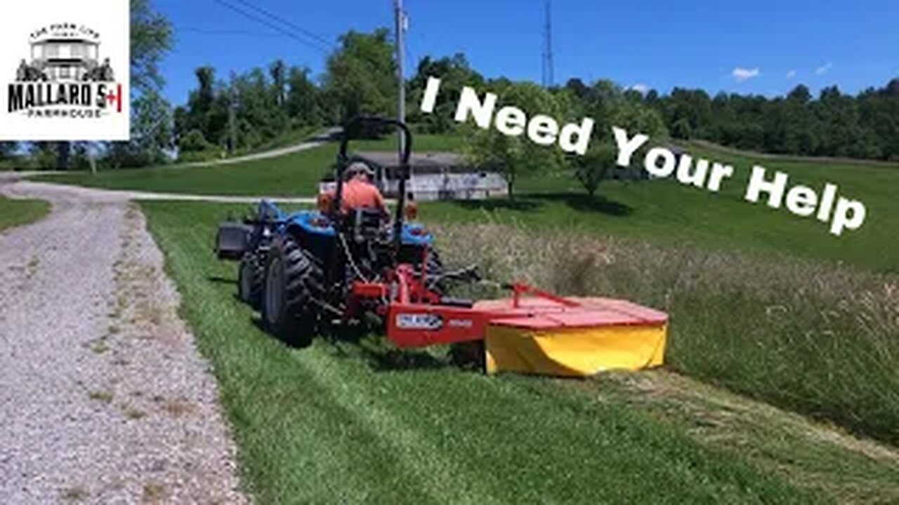 Cutting Hay For The First Time | And What's Wrong With My Square Baler?