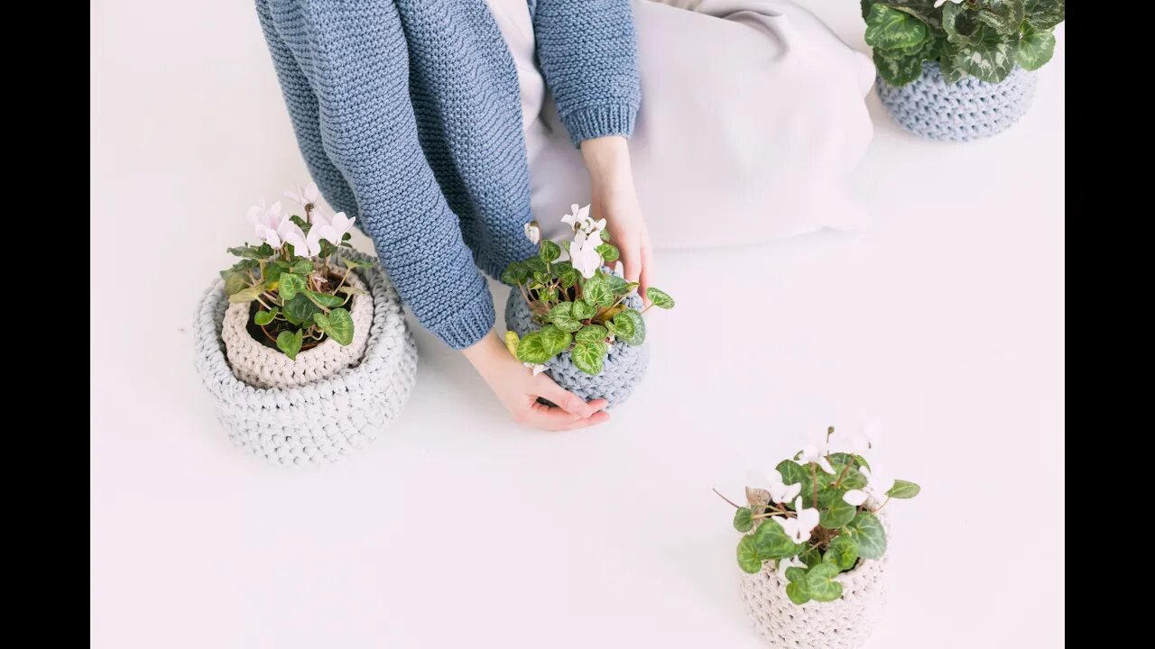 Field of flowers 🏕