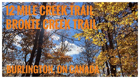 Relive Hiking |Chasing Fall Colours| Bronte Creek Trail |Hiking |Nature |Burlington, ON 🇨🇦