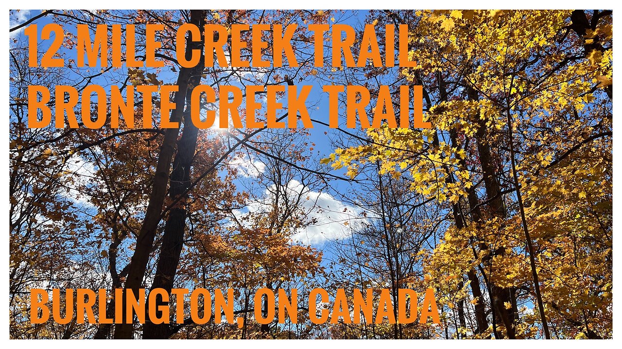 Relive Hiking |Chasing Fall Colours| Bronte Creek Trail |Hiking |Nature |Burlington, ON 🇨🇦