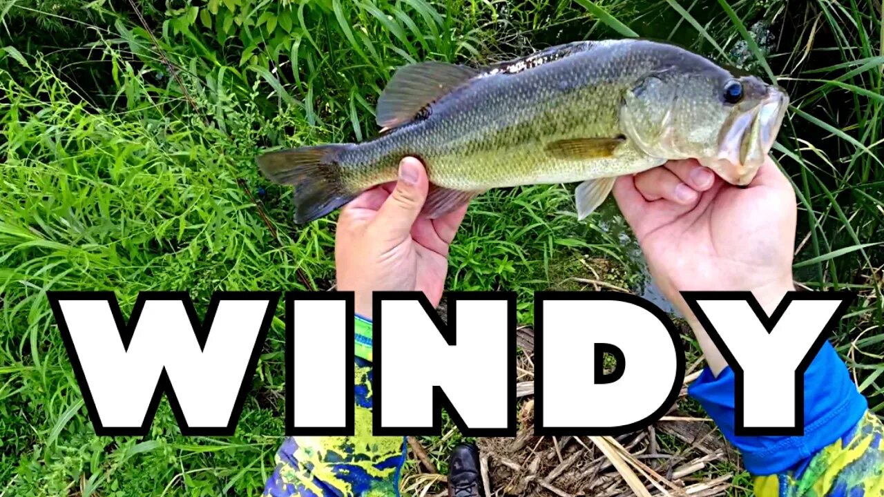 Fishing in 50 MPH Wind!