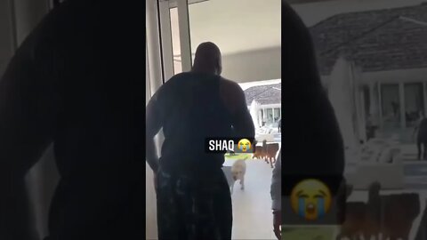 Shaq got chased down by dogs 😂 via @hotfreestyle