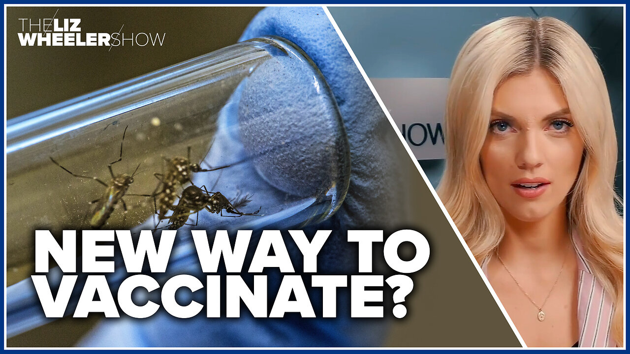 Using genetically modified mosquitoes to vaccinate people?!