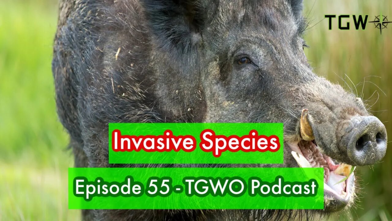 Invasive Species - The Green Way Outdoors Podcast - Episode 55